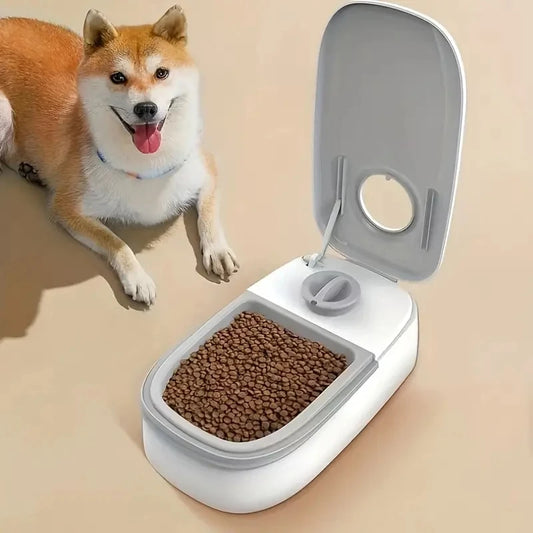 Automatic feeder