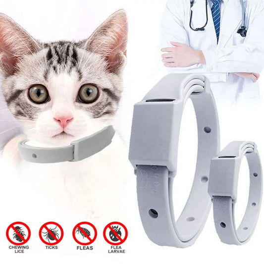 Anti Flea Collar For Cats &Small Dogs