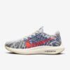 Nike Pegasus Turbo